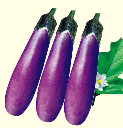 ޱ